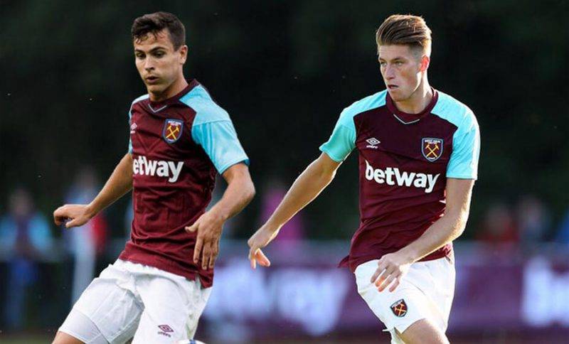 他们拥有多 他们拥有多